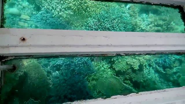 Морская экскурсия на лодке с прозрачным дном(3) смотреть онлайн