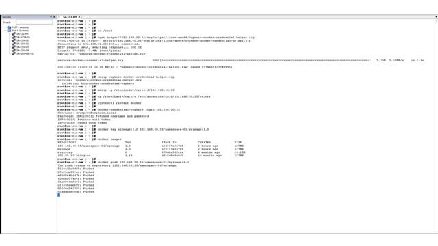 Pushing and Deploying Harbor Images - TANZU смотреть онлайн