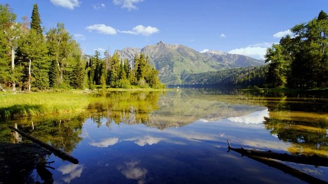 3 год 81 занятие Сюжет и начало танца смотреть онлайн