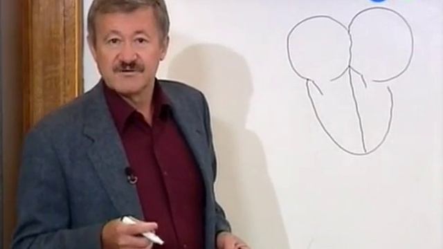 Орнитология. Птицы. Зоология