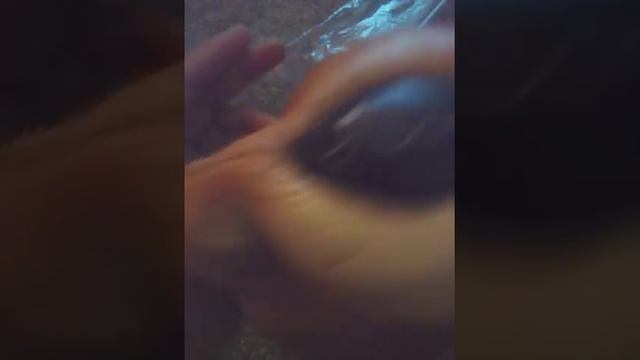 NEW puni maru big cornet squishy!!! смотреть онлайн