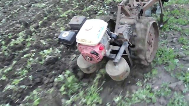 Fabricat la Moldova la Tomai Leova смотреть онлайн
