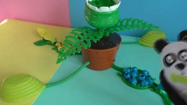 Челлендж игра Мухоловка Накорми зубастика смотреть онлайн