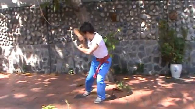 Техника ведения боя «Змея» смотреть онлайн