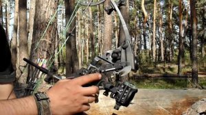 Какой блочный лук выбрать для охоты?