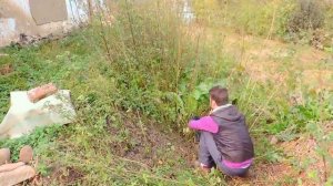 ТКАНЬ ИЗ КРАПИВЫ СВОИМИ РУКАМИ. заготовка крапивы