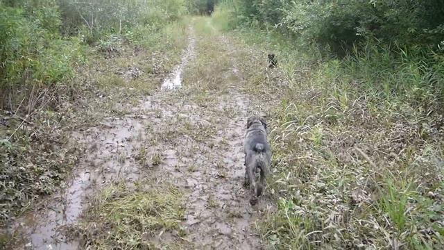 Сплав на катамаранах по реке Тигровая, Приморский край смотреть онлайн