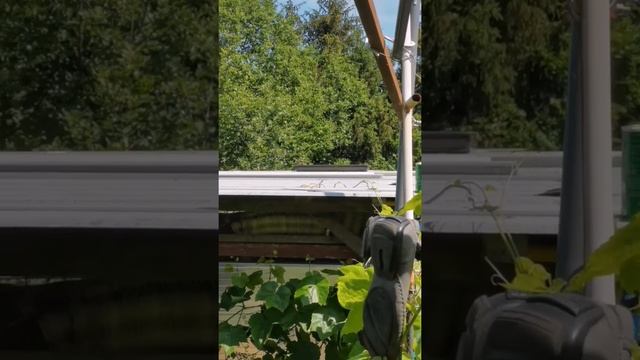 Дача как хобби. Рыжая смотреть онлайн