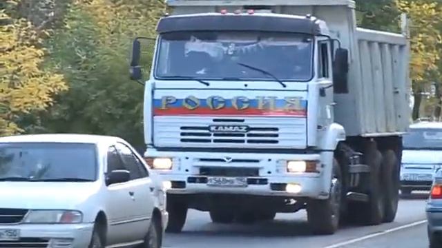 Собаки и машины