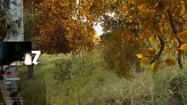 dayz по штруляем смотреть онлайн
