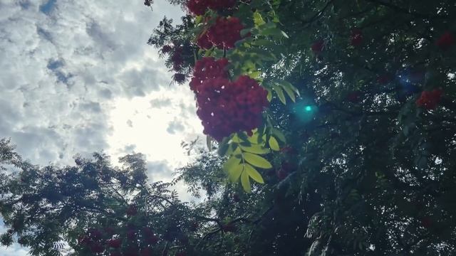 Крещение ребенка | Барнаул смотреть онлайн