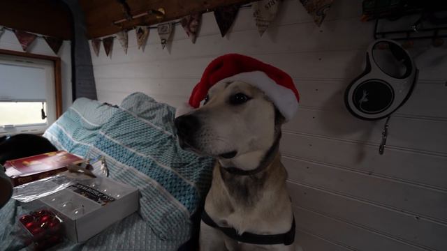 WHEN VAN LIFE GOES WRONG.. MORE THAN ONCE! Problems getting back to UK! (female van life) смотреть онлайн