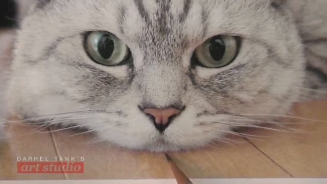 What Goes Into the Layout of a Realistic Cat Drawing? смотреть онлайн