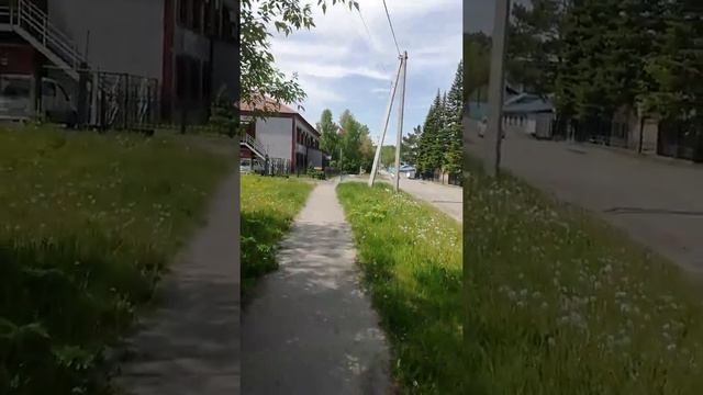 Лето в Горном Алтае смотреть онлайн