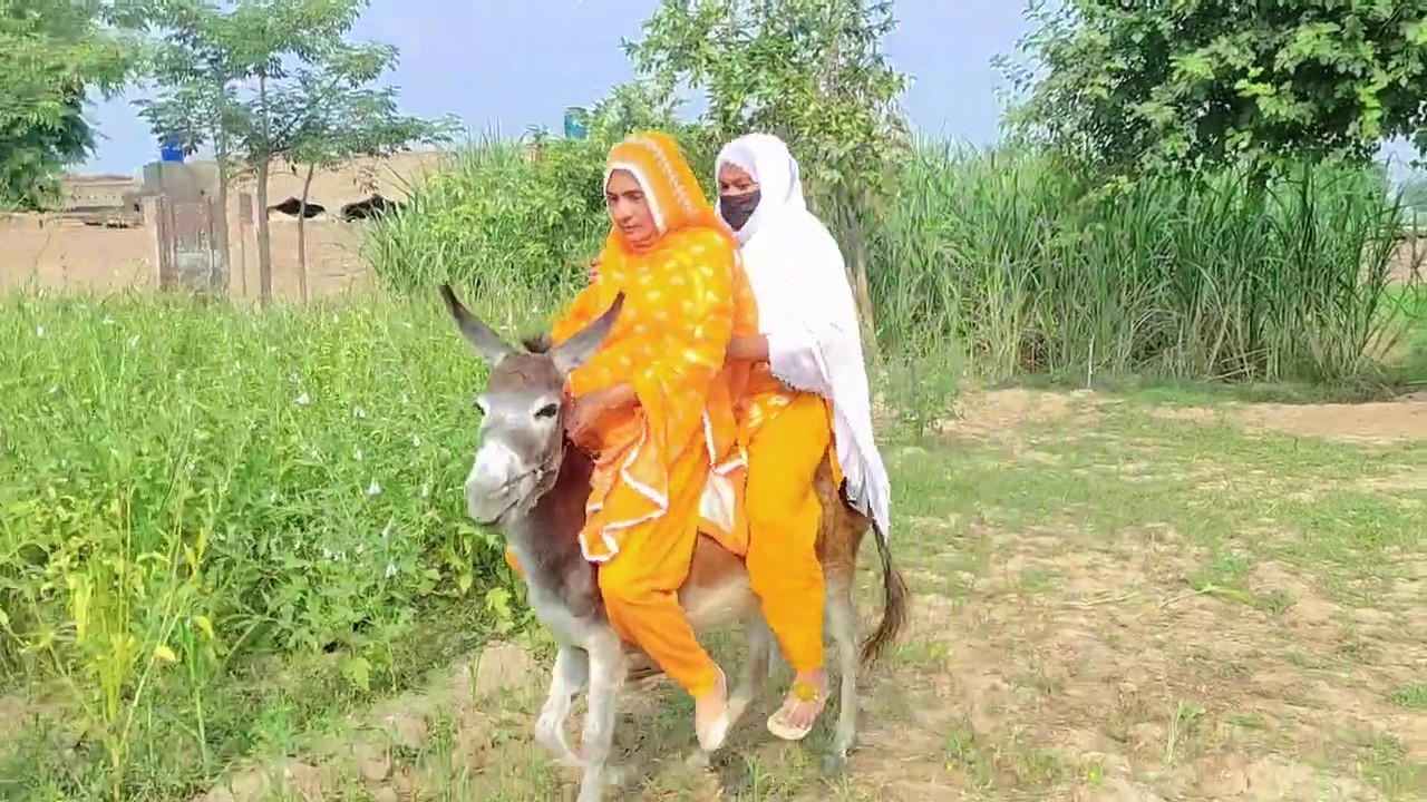 Punjabi women double donkey riding in village смотреть онлайн