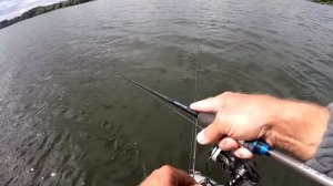 Приманка на Окуня и Щуку. Блесна Цикада. Как ловить на Блесну. Цикада Imakatsu Piranha. Ловля щуки