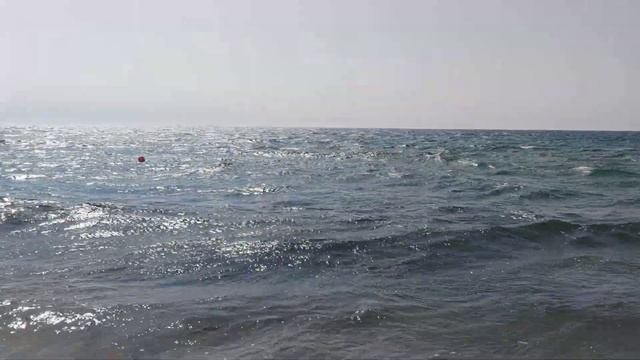 Береговое, Крым. 14 июля 2023, утро. смотреть онлайн