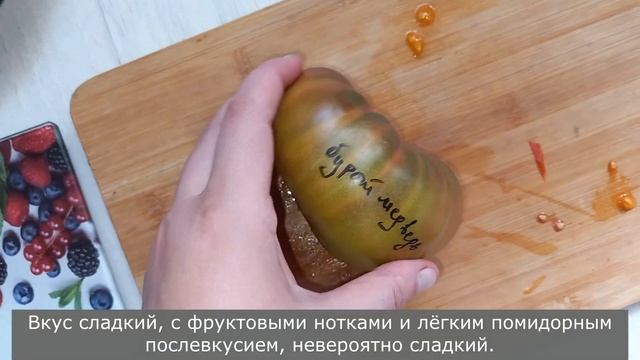 Экзотический Томат Бурый медведь, сладкий и вкусный смотреть онлайн