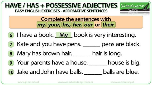 Have / Has + Possessive Adjectives – Easy English Grammar Exercises – Affirmative Sentences смотреть онлайн