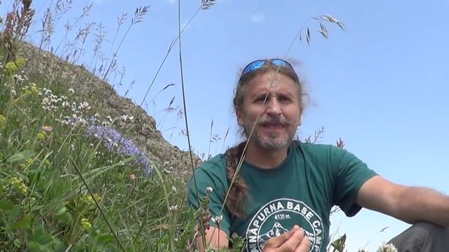 "Сидя на красивом холме я часто вижу сны, и вот что кажется мне..." смотреть онлайн