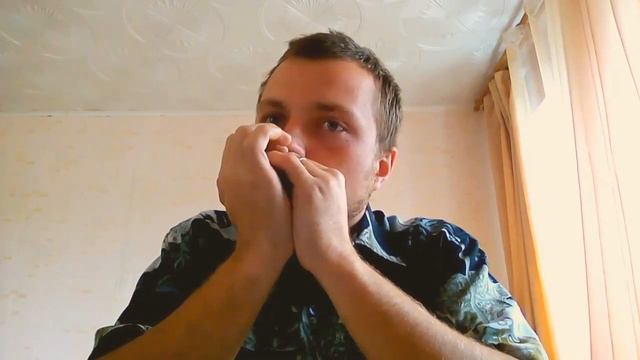 Играю на кастомизированной мною гармонике B-мажор смотреть онлайн
