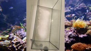 КАК ПОМЫТЬ АКВАРИУМ ПЕРЕД ИСПОЛЬЗОВАНИЕМ