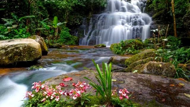 Мантра сердечная смотреть онлайн