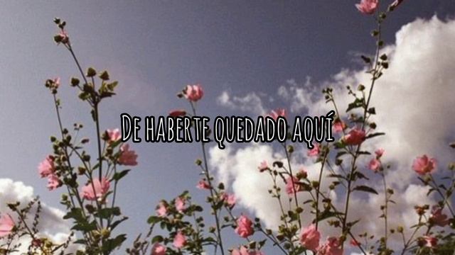 Machu Picchu 💕 Camilo • Eva Luna | LETRA | Cover by Perli Serrano смотреть онлайн