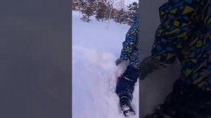 Купание в снегу .