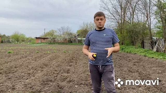 Посадка тыквы МАТИЛЬДЫ (НОВАЯ СХЕМА)? смотреть онлайн