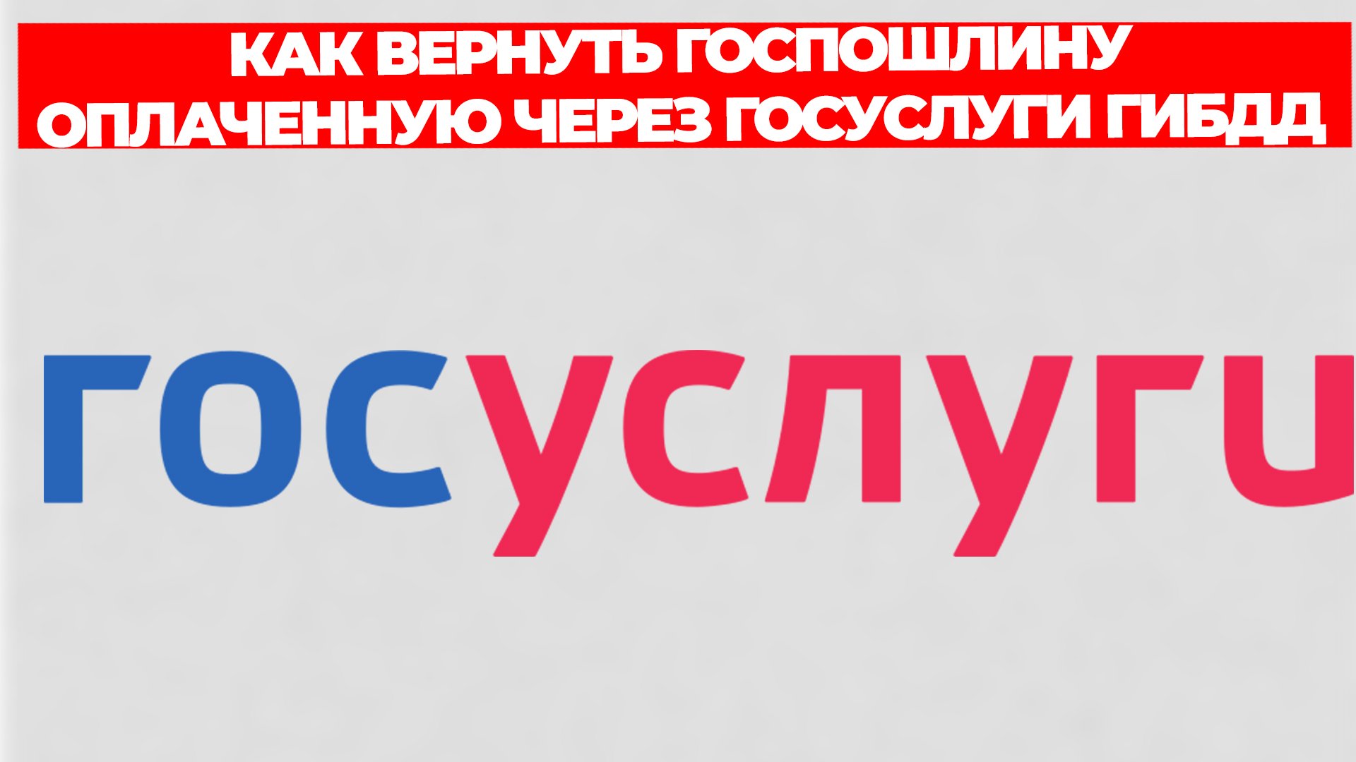 Всезнающий Енот