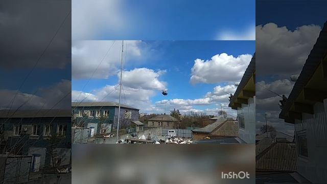 20 апреля 2020 г. Просто жиреют. #Трапеза. смотреть онлайн