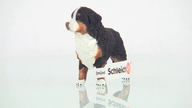 Schleich Berner Sennenhond (teef) Art. 16397 смотреть онлайн
