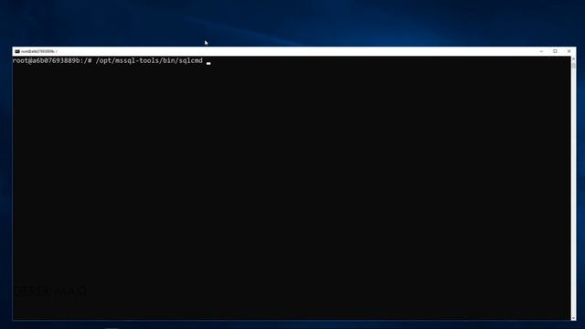 Connecting to SQL Server Using sqlcmd From Ubuntu Bash смотреть онлайн