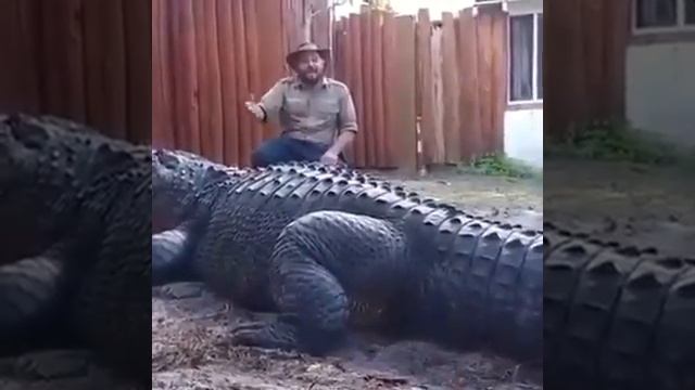 Самые большой кракадил в жизни ? и черные смотреть онлайн