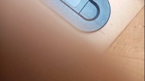 Короткий обзор бензопилы Могилев 5.5