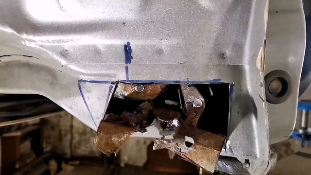 Растения и их взаимодействие с окружающим миром