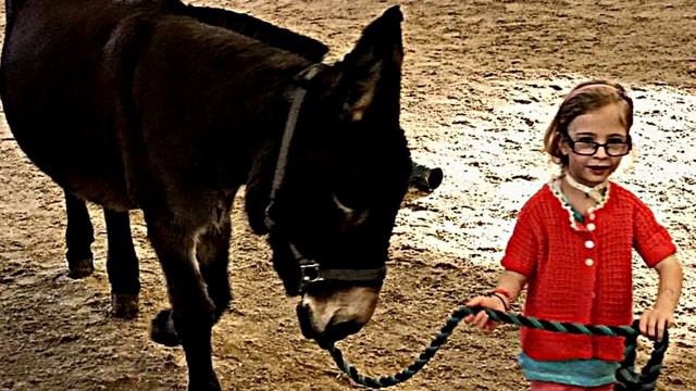 Хрупкая девочка подошла к этому ослику и обняла его. Через секунду произошло невероятное! смотреть онлайн