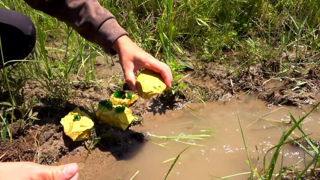 World's Best Finds; Gold Found - Nuggets, Emerald Crystals, Where is Found? смотреть онлайн