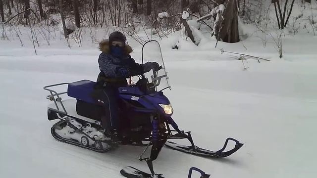 Выгул Dingo T150 смотреть онлайн