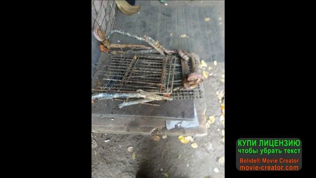 тележку в утиль, болгарка и поисковый магнит в деле №38 21 10 21 смотреть онлайн