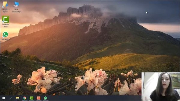 Как пользоваться Whatsapp Web