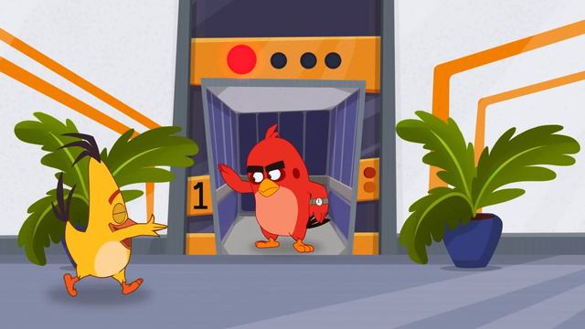 Angry Birds | Top Laughs of 2023! смотреть онлайн