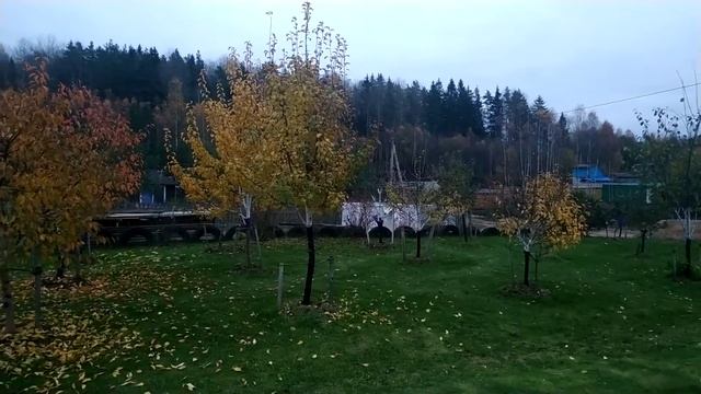 Строим дом. Часть 30В. Кладка первого ряда второго этажа. Успел. смотреть онлайн