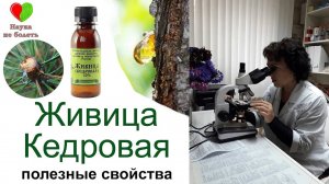 ЖИВИЦА - КЕДРОВАЯ ИЛИ КАК НЕ БОЛЕТЬ ЗИМОЙ -||- ВСЕ О ЖИВИЦЕ КЕДРОВОЙ -||- Живица