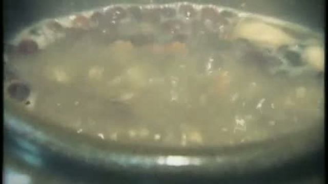 Южная Корея. Сеул. Jaseng Hospital of Oriental Medicine. (Клиника Восточной медицины &laquo;Часен... смотреть онлайн