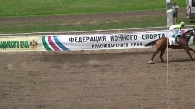 5 скаковой день, 7 июня 2014 г (часть 2) смотреть онлайн