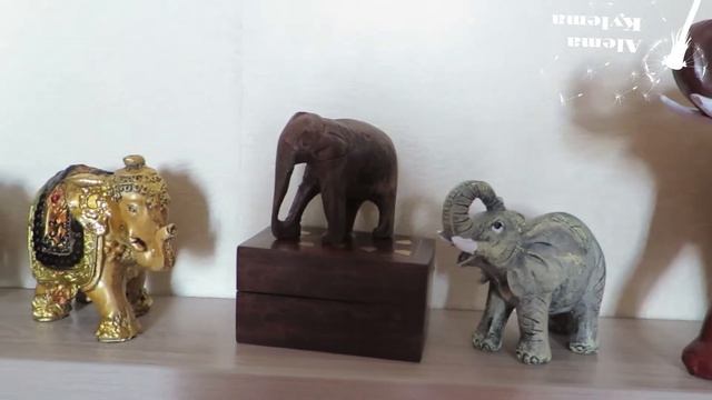 Коллекция слонов и другие экзотические животные смотреть онлайн