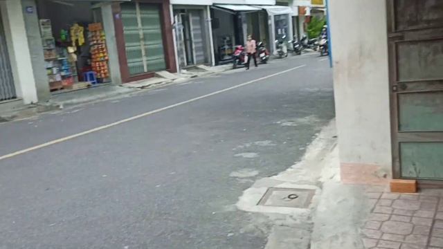 05.11.2021. Цветы дерева шорея робуста (сал). Сом Мой. Мясо, компоты, фрукты, швеи, овощи, трусы. смотреть онлайн