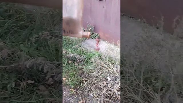 чистка расширительного бачка охлаждающей жидкости лимонной кислотой смотреть онлайн